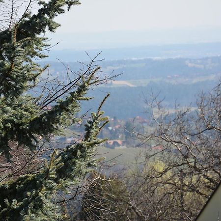 Villa Weingut Seiner Vlg. Kraxner à Greisdorf Extérieur photo