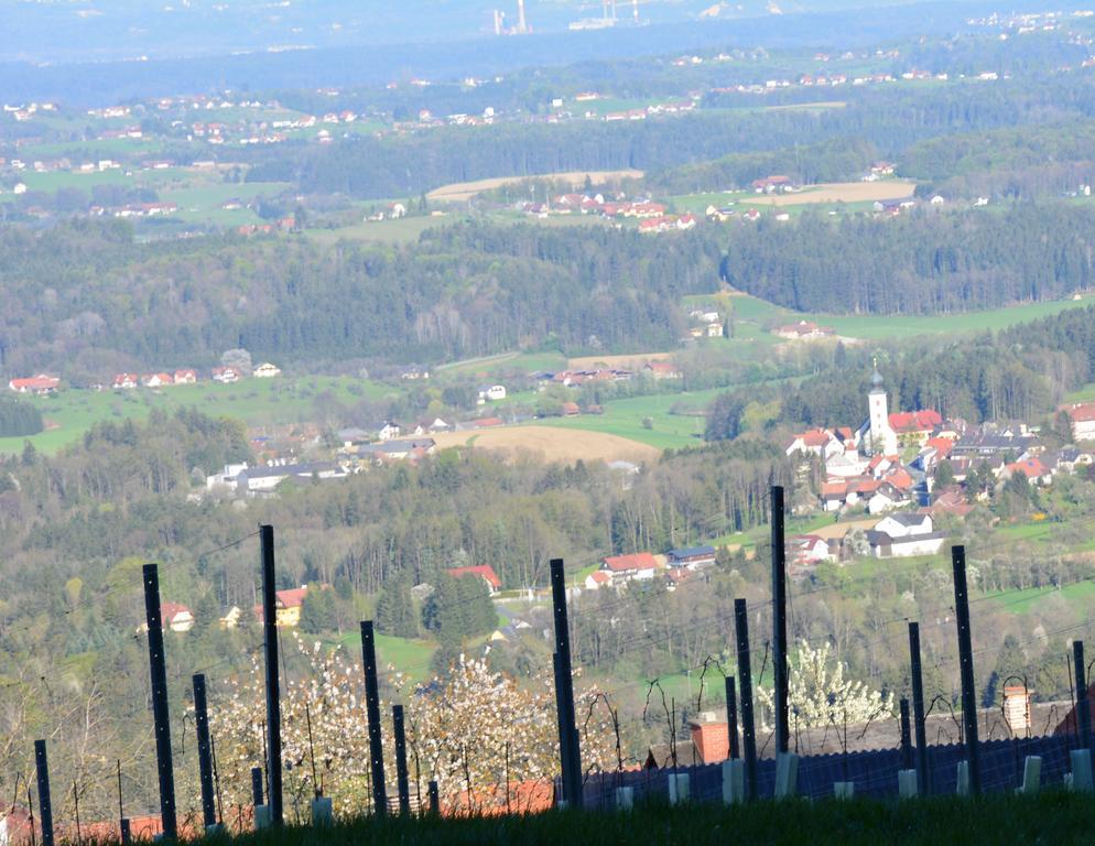 Villa Weingut Seiner Vlg. Kraxner à Greisdorf Extérieur photo