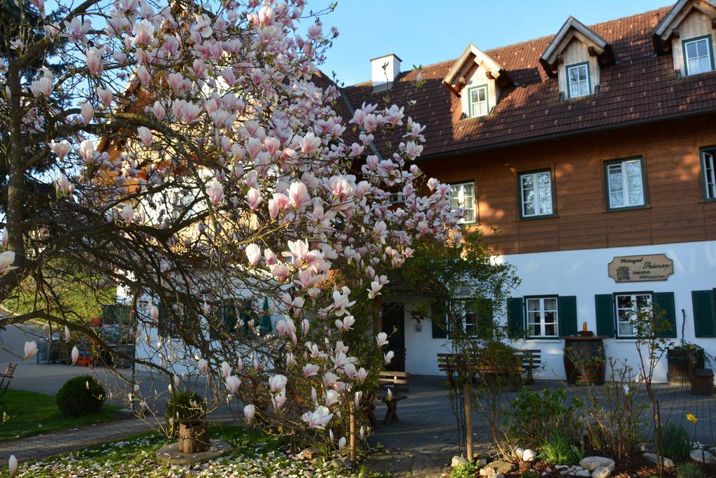 Villa Weingut Seiner Vlg. Kraxner à Greisdorf Extérieur photo