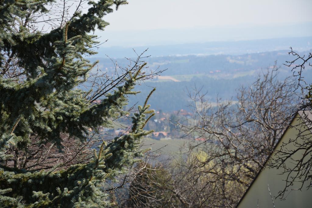 Villa Weingut Seiner Vlg. Kraxner à Greisdorf Extérieur photo