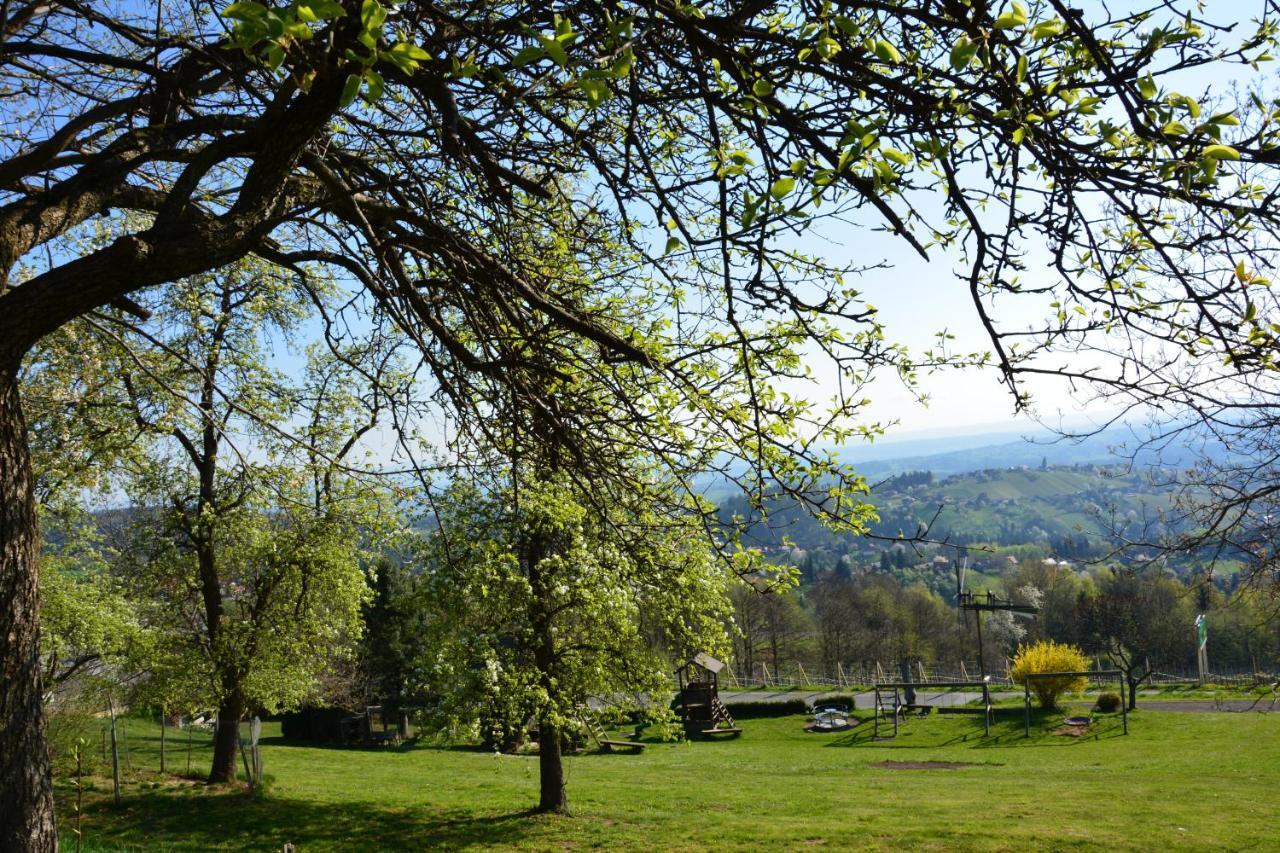 Villa Weingut Seiner Vlg. Kraxner à Greisdorf Extérieur photo